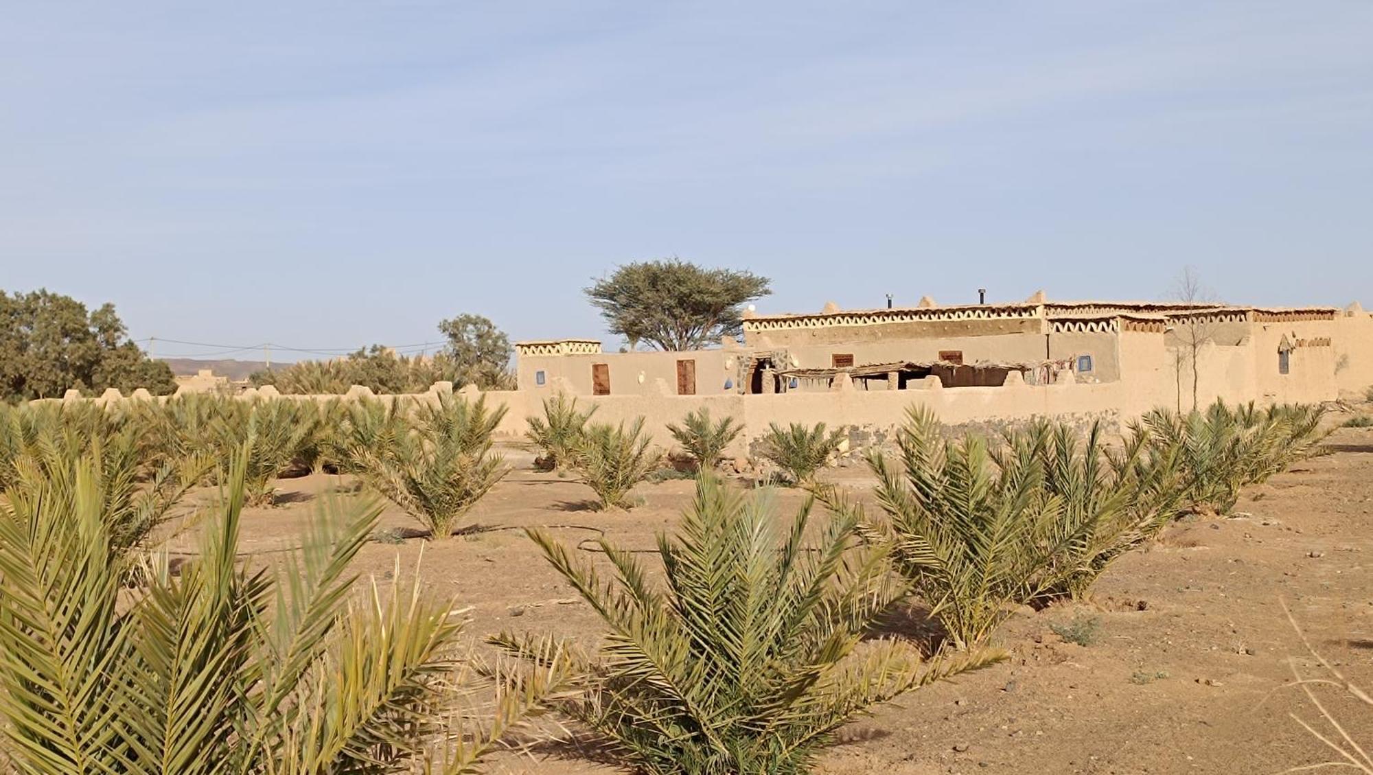 Kasbah Luna Del Sur Otel Erfoud Dış mekan fotoğraf