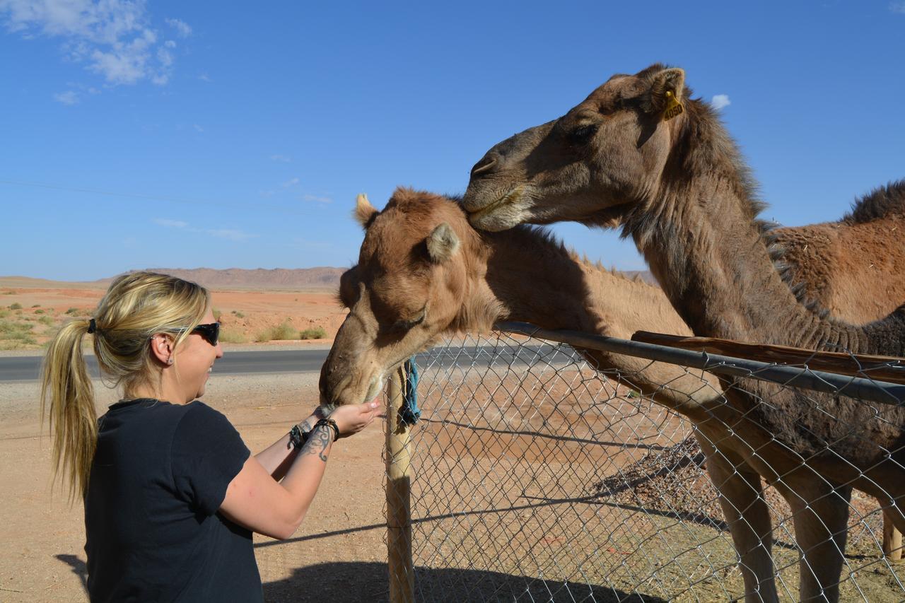 Kasbah Luna Del Sur Erfoud Dış mekan fotoğraf